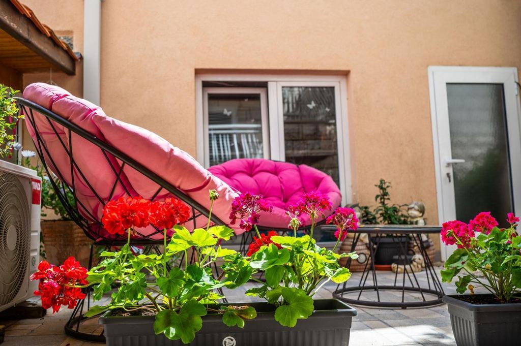 Villa Markoc ツァヴタット エクステリア 写真